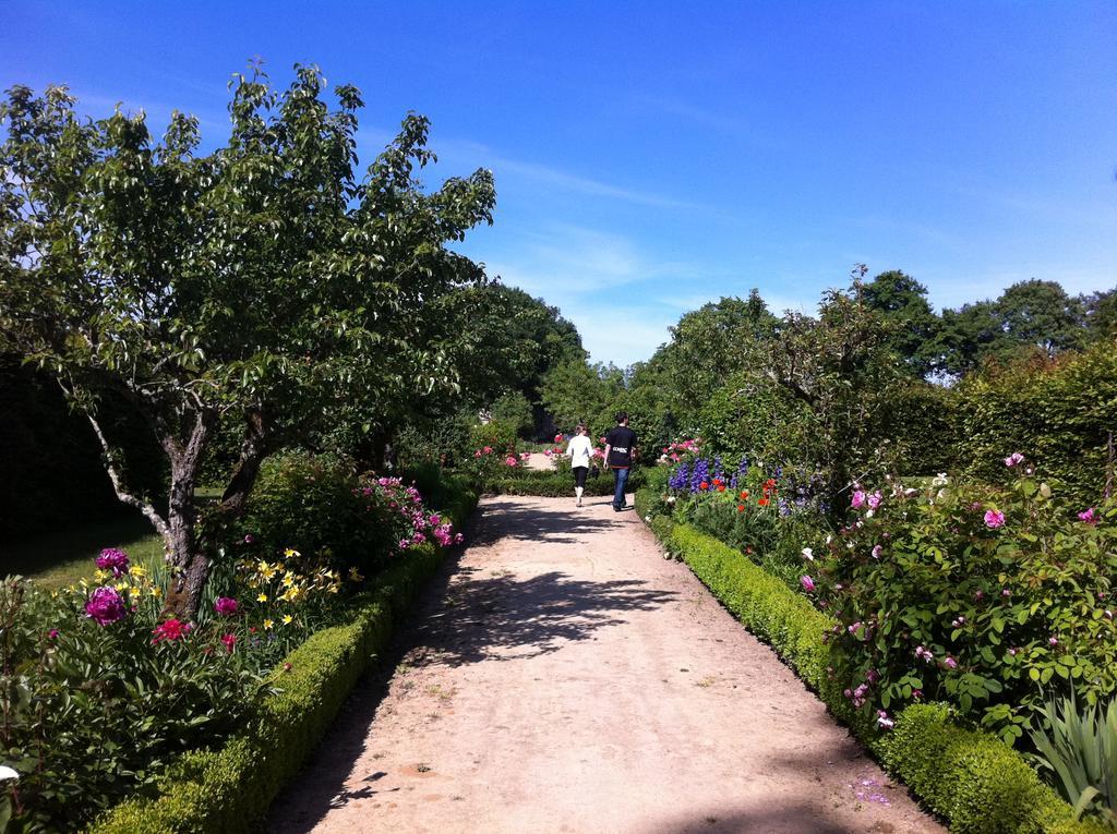 Chateau Des Briottieres Champigne Ngoại thất bức ảnh